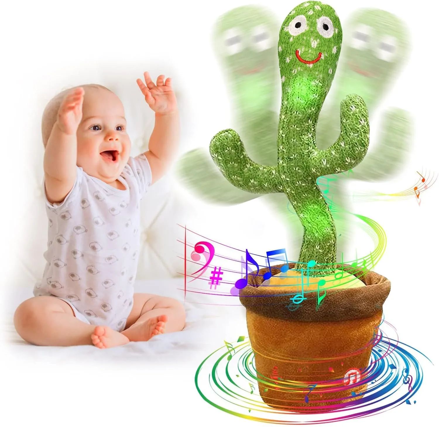 Cactus bailarín - Oferta en Amazon